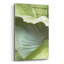  «Banana Leaf 1» par Brittany Evans, art mural en verre acrylique, 24 po x 36 po-243023163