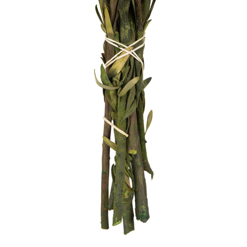 Preserved Arrangement