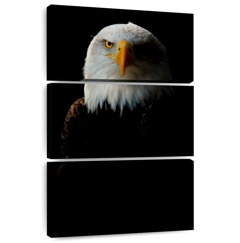 Brampt Bald Eagle Headshot, 32" H x 20" W