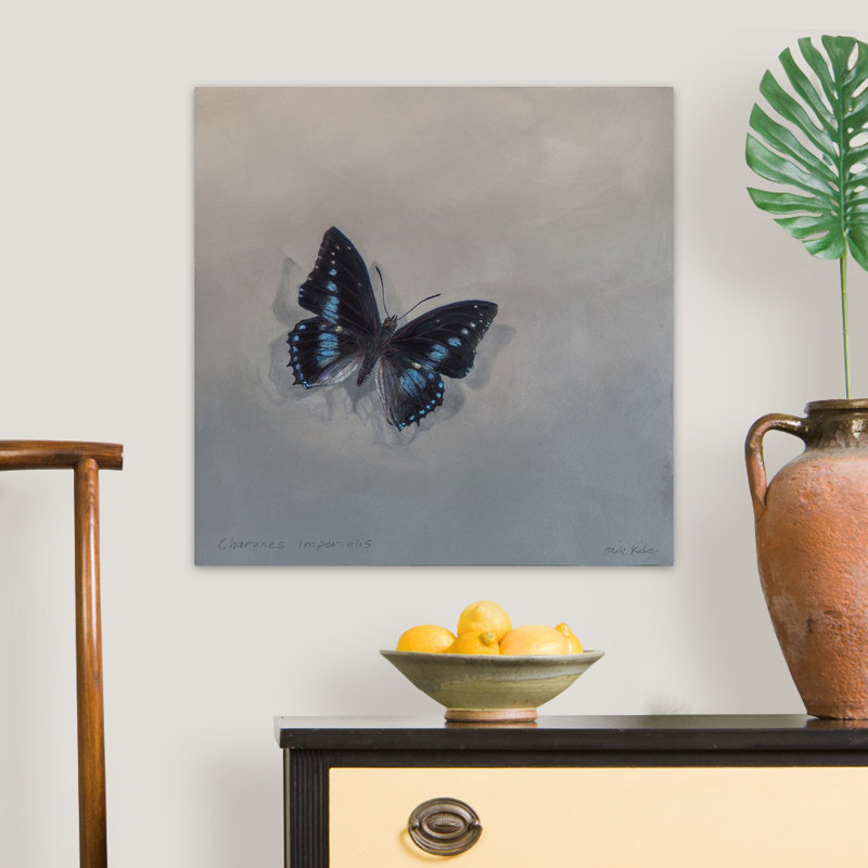 Charaxes imperial 1 (A), 2014 - reproduction d'art, H 24 po x l 24 po x P 1,25 po, Toile tendue