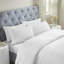 Fieldstone Cotton Two-Line Embroidered Deep Pocket Bed Sheet Set by Superior-101056809-110842880