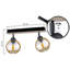Glass Ceiling Spotlight