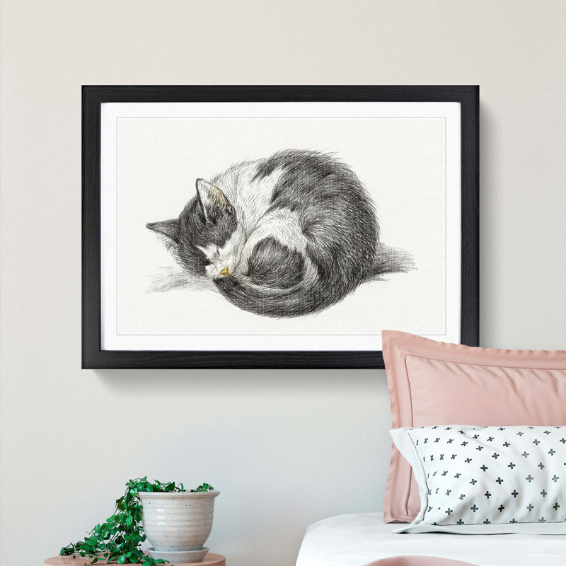 A Curled Cat by Jean Bernard - Framed Print, 33cm H x 45cm W x 2cm D, Black Framed