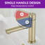  Lustre  Single-Hole Single-handle Bathroom Faucet with Drain Assembly-81246862