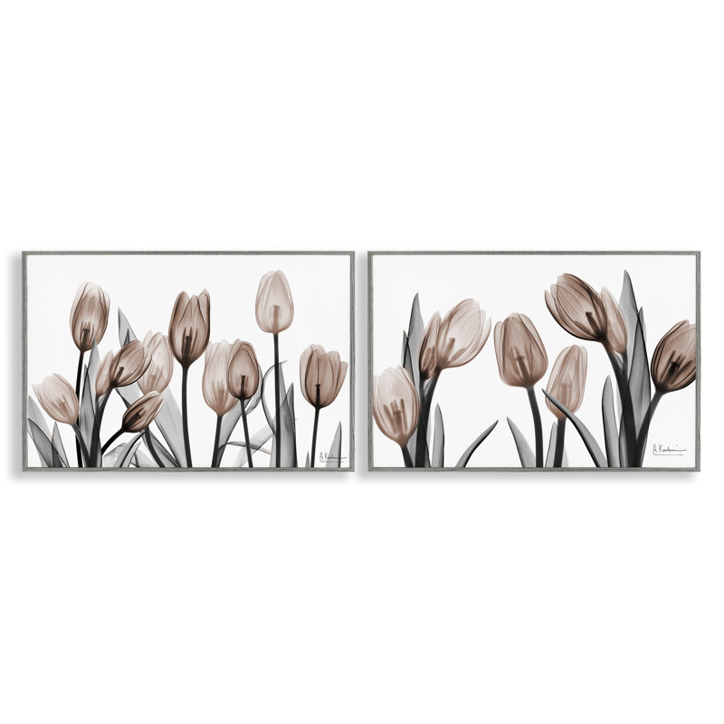 Ensemble de 2 tulipes translucides moka encadrées, par Albert Koetsier, Estampe numérique Farmhouse, H 12 po x l 36 po