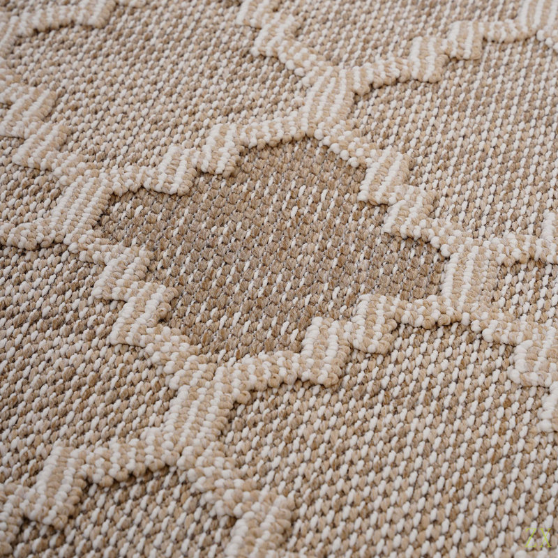 Collection 2X8  /Trellis Indoor/Outdoor Area Rug, Runner 2'2" x 8'