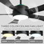 Ventilateur de plafond moderne de 52 po avec lumière DEL, changement de couleur RVB, télécommande et contrôle de l'application, blanc / noir-850864178