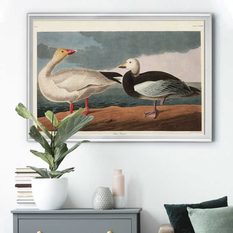 Snow Goose - Matted and Framed Under Acrylic Glass, Large Living Room Wall Art, 18.5" H x 24.5" W x 1.5" D, Silver