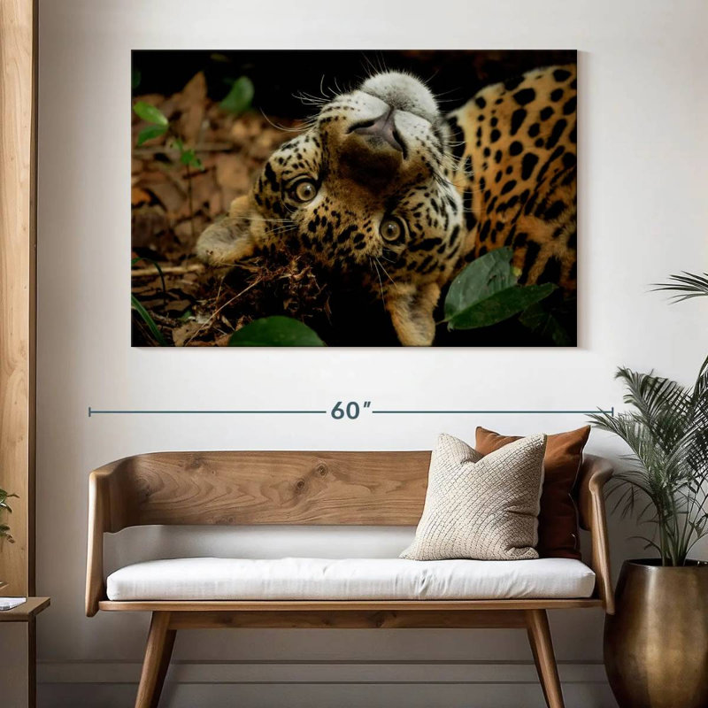 Brampt Lovable Jaguar, 34" H x 51" W