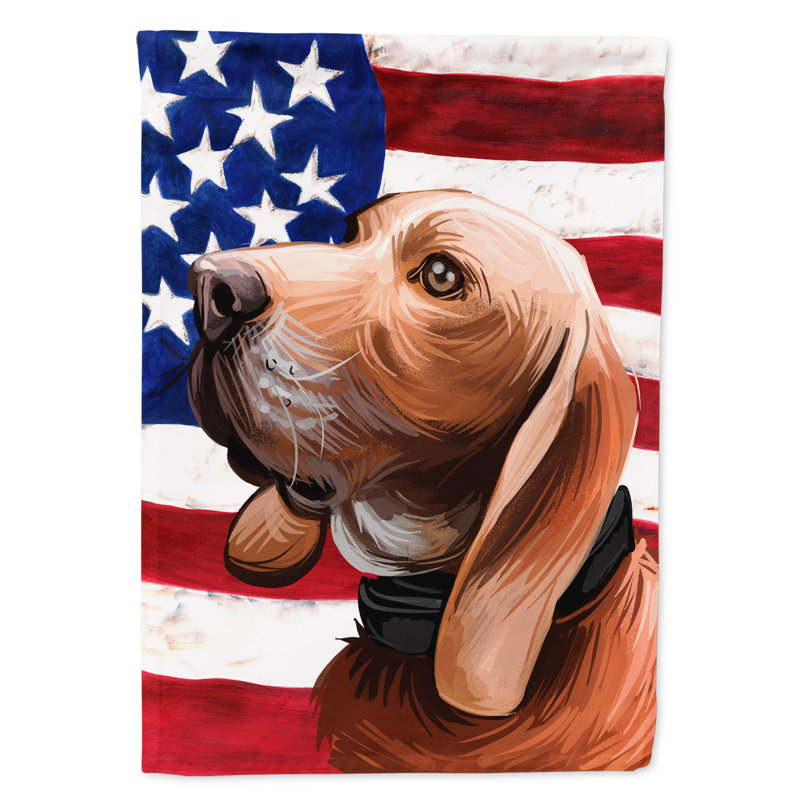 Polyester à 2 côtés 28 x 40 po drapeau maison, Sabueso espagnol