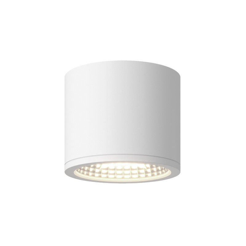 Nordic 4-in (5-in Dia.) White LED Exterior Ceiling, White, 4" H x 5" W x 5" D
