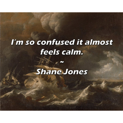 Shane Jones Quote: I’m so confused it almost feels calm.
