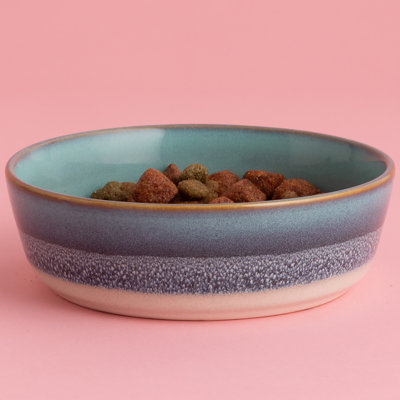Mason Cash: Reactive Fade Pet Bowl - 5,9 po, 18,6 oz - multi-glacis, nourriture pour chien-eau, grès céramique, va au micro-ondes et au lave-vaisselle, alimentation-hydratation