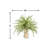 Feather Fern Arrangement with Shells