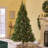 Christmas Trees