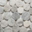 Carreau de mosaïque rond Super White Moon Stone Penny - trié à la main pour la salle de bain