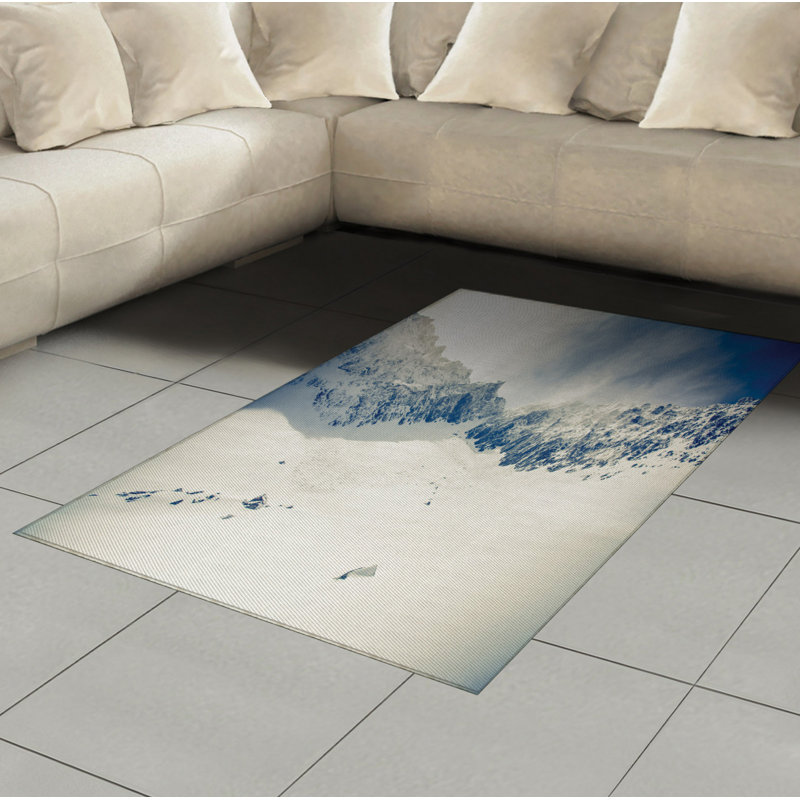 Winter High Density Long Fiber Poly Threads Decorative Area Rug Carpet, Rectangle 4' x 5'8"