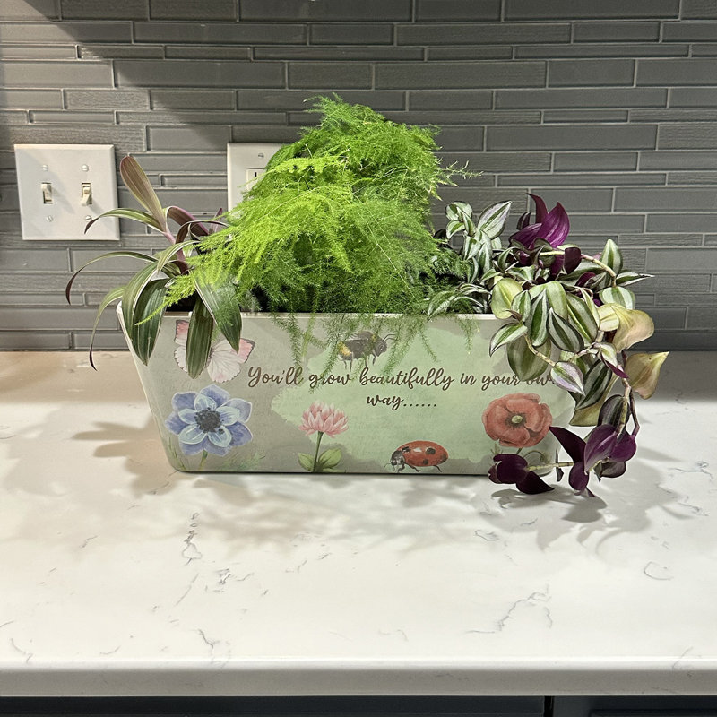 16" Multicolor Bamboo Fiber Rectangular Self-Watering Planter