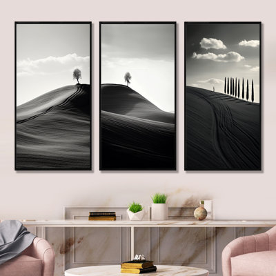 Paysage de désert noir et blanc