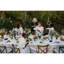 Elegance Pinot Gris/Grigio 16.5 fl oz