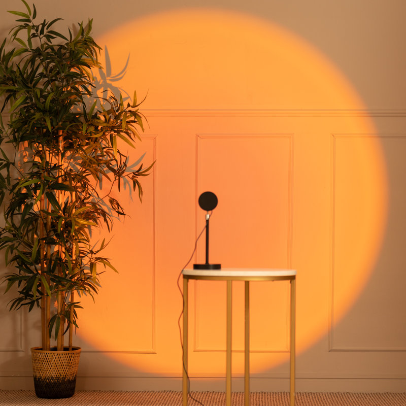 Onofre Metal Novelty Lamp