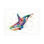 «Dave Bartholet Rainbow Orca», art sur toile-329998635