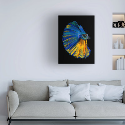 Contemporary
