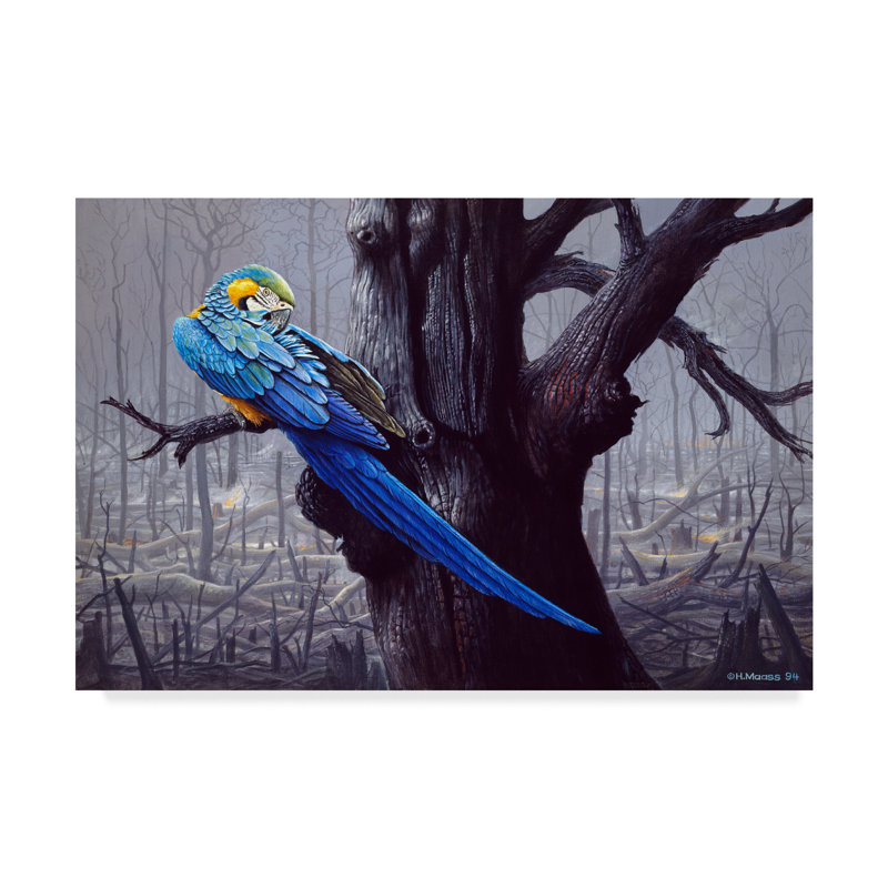 Blue and Yellow Macaw in Burned Forest Canvas Art