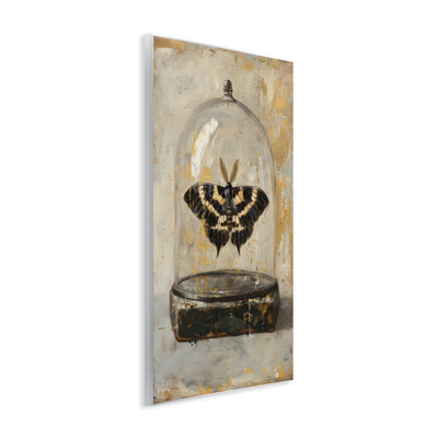 Rustic Moth in Glass Wall Plaque Art by Petal Prints Design