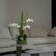 Arrangement d'orchidées blanches de 29,5 po dans un vase en verre | Orchidées phalaenopsis blanches par Fiori Semper