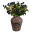 Handmade Pot Planter