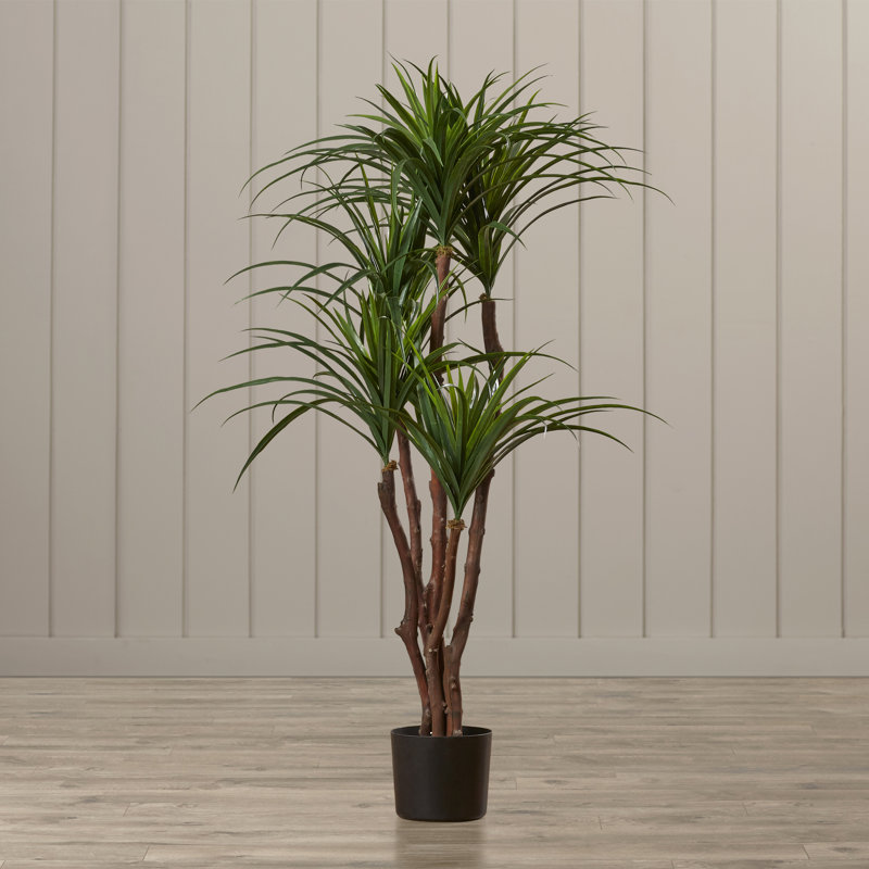 51" Tropical Yucca Artificial Tree with Natural Trunk and Planter by Pure Garden