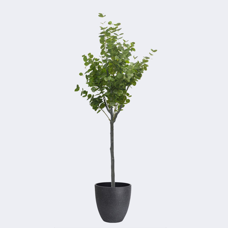 Pots ronds en résine artificielle avec plateau d'eucalyptus artificiel et résine, Noir, H 19,69 po x l 70,87 po x P 19,69 po