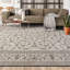 Oriental Area Rug