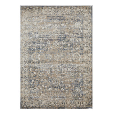 Amair Oriental Indoor Rug
