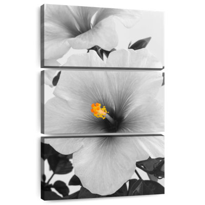 Monochrome Hibiscus