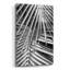 "Cycad, Michigan 80" par Monte Nagler-919534509