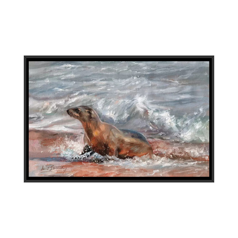 « sea lion », impression sur toile, H 32 po x l 48 po x P 1,5 po, Toile avec cadre noir, Pas de tapis