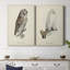 French Owls III - Toile tendue avec châssis de qualité supérieure - Prêt à être accroché