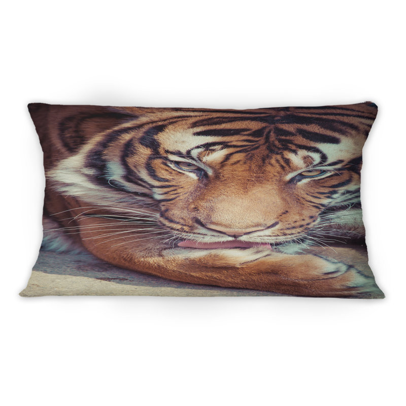 Animal Print Throw Pillow