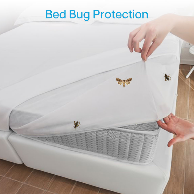 Besto Waterproof Elastic Mattress Protector Case Pack, Double (4'6)