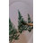 Lastra Holiday Olive Oil Can