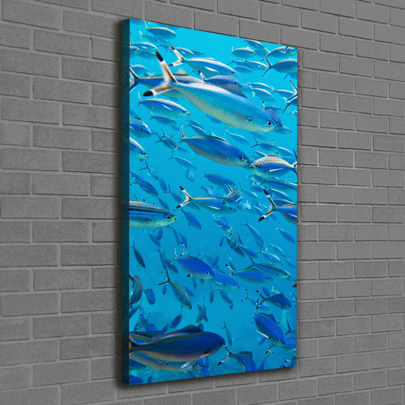 Coral Fish - Wrapped Canvas Print
