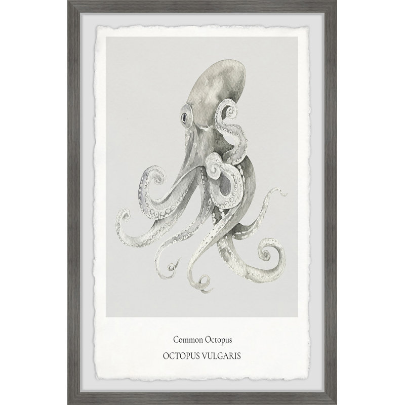 Torquay Aetobatus Narinari A by Marmont Hill - Single Picture Frame Print