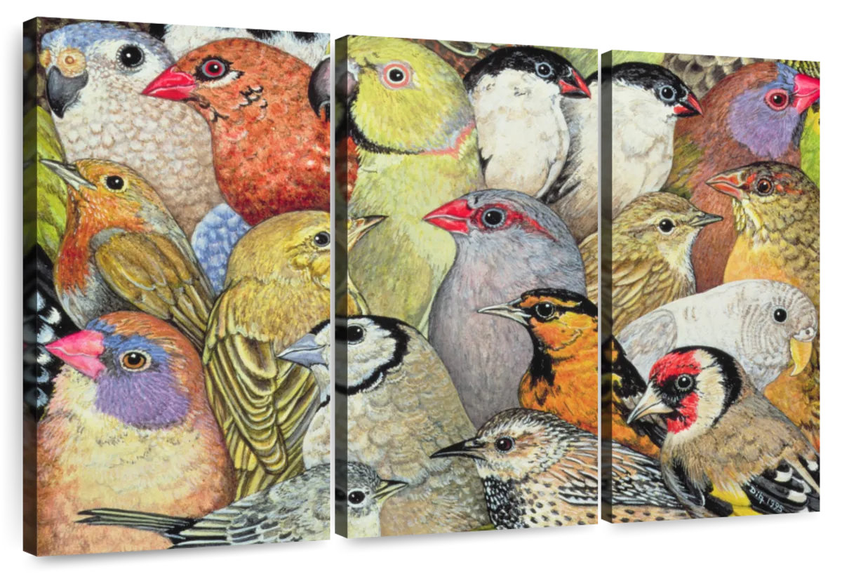 Latitude Run® Patchwork Birds | Wayfair