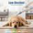 Pet Grooming Blower-119481815