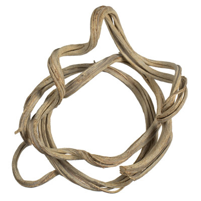 13" Coiled Vine, Dried