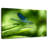 Brampt Dragonfly On A Leaf-108730433