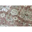 Demirji One-of-a-Kind 11'10" X 17'3" Area Rug