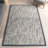 Coretta Modern Bordered Area Rug-1697138406
